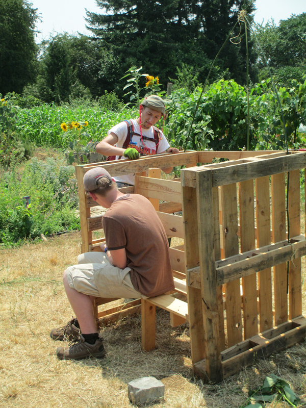 Sanding the Bench (2)